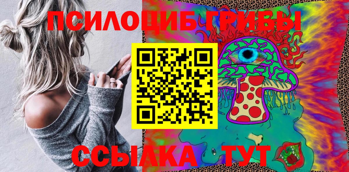 Галлюциногенные грибы Psilocybine cubensis Богородицк