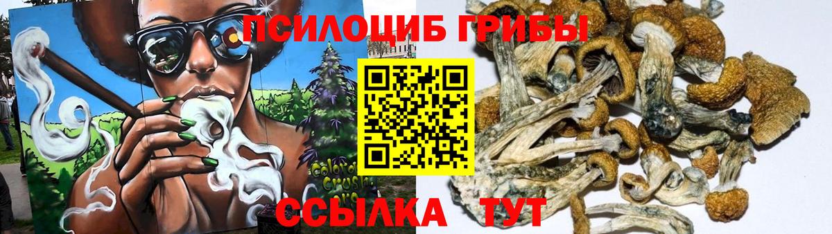 Псилоцибиновые грибы Cubensis  Вход с VPN  Богородицк 